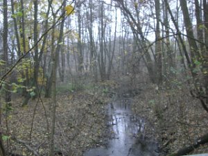 CTF-Kesselsee 042